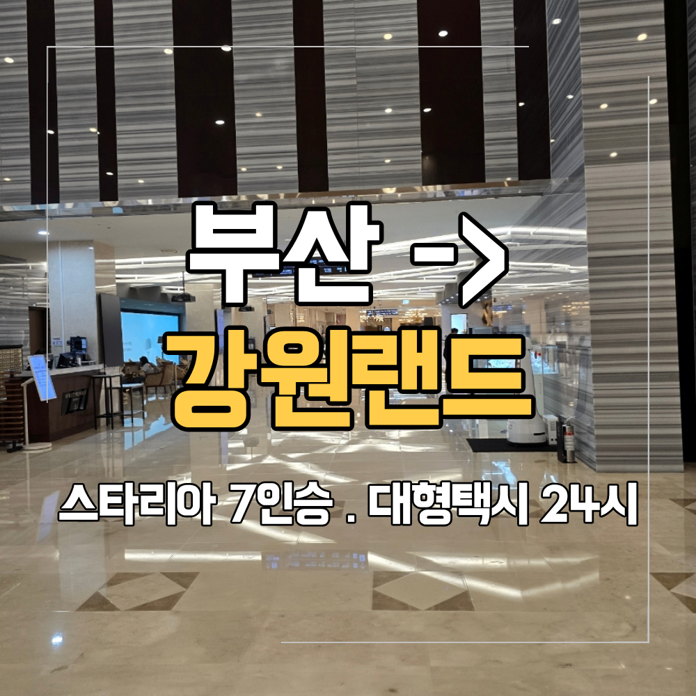 부산 해운대 강원랜드 VIP 대형 택시 스타리아 장거리 운행